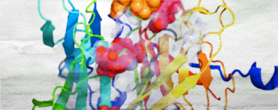 New proteins1